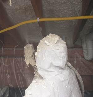 Omaha NE crawl space insulation